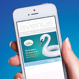 Brookfield Lake Summerside Online