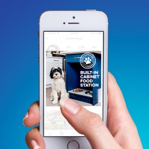 Brookfield Pooch Approved Instagram Advertising