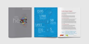 Mazankowski Alberta Heart Institute Annual Report 2016-17