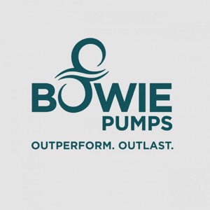 Bowie Pumps identity and product branding project
