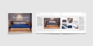 Skylark and Owl brochure